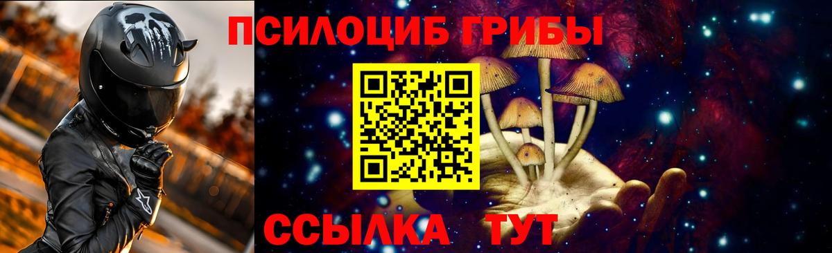 Псилоцибиновые грибы MAGIC MUSHROOMS Бутурлиновка