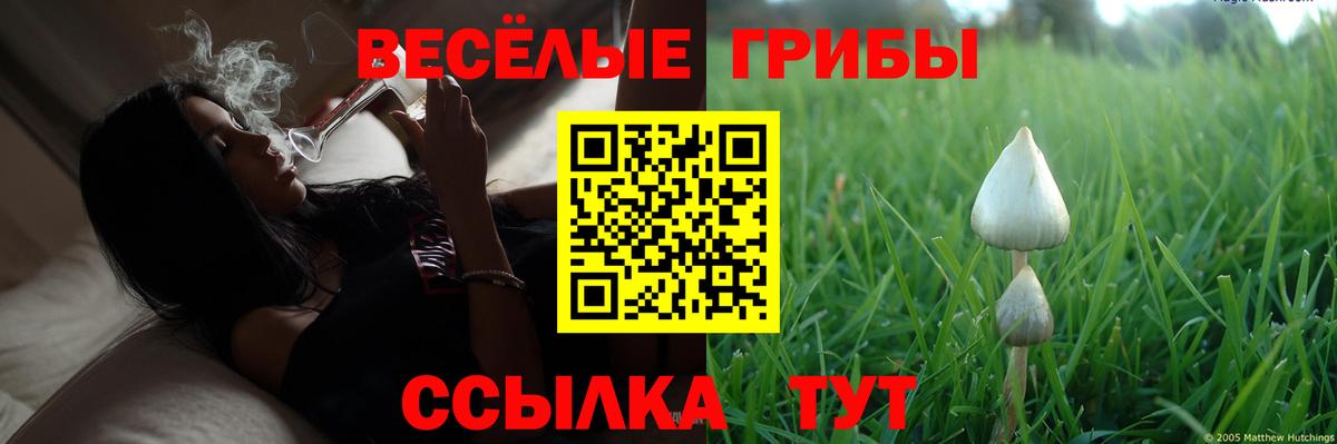 Псилоцибиновые грибы Psilocybine cubensis  Вход с VPN  Псилоцибиновые грибы Cubensis  Бутурлиновка 